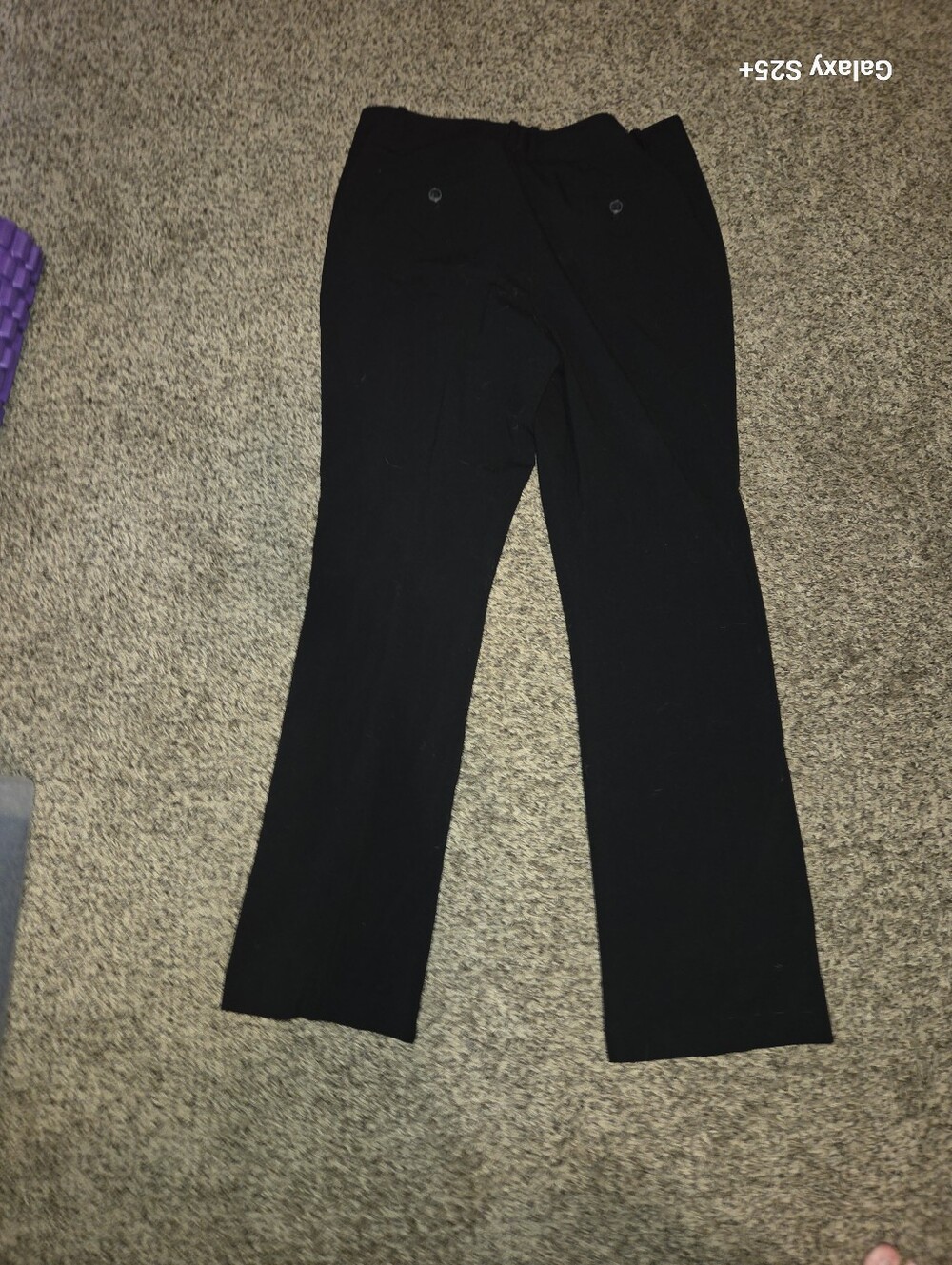 The Limited Black Women's Pant - Classic Stretch